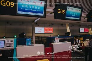 够吸睛 娃哈哈 奢纯品牌广告霸屏杭州萧山国际机场