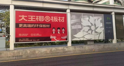 大王椰板材全新国羽广告燃动全国