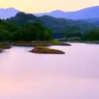 信息流广告代理公司 杭州广告市场的专业选择